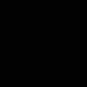 Meet your Posher, Pat